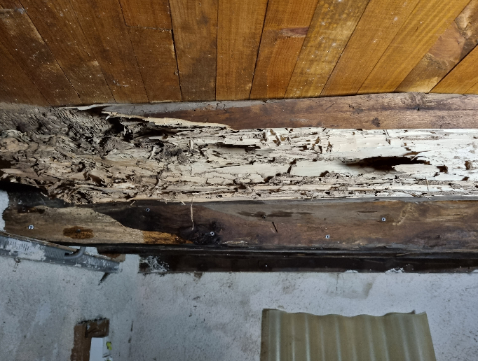 Les zones d'intervention d'Alpha Termites et Traitement