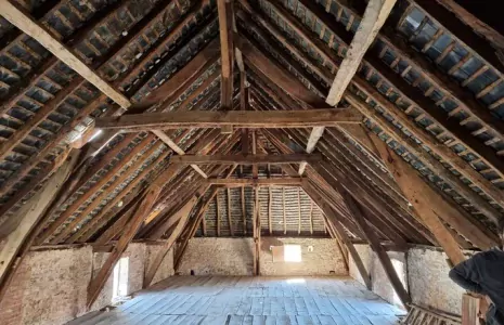 Capricornes à Bergerac : comment protéger votre charpente ?